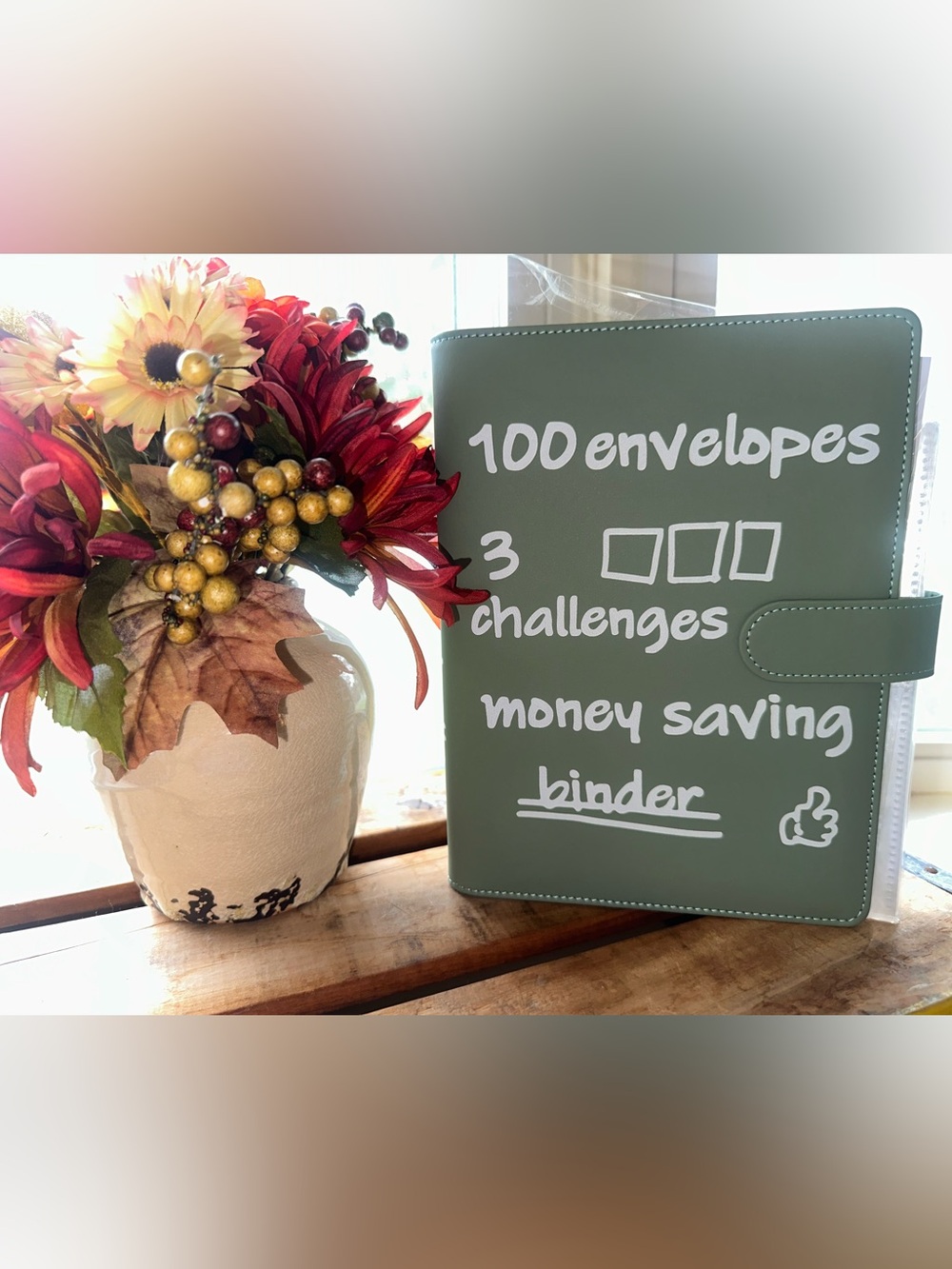 100 Envelopes Money Saving Challenge Binder ~ NEW